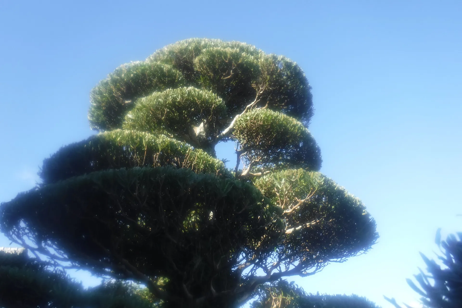 11月に入りました。