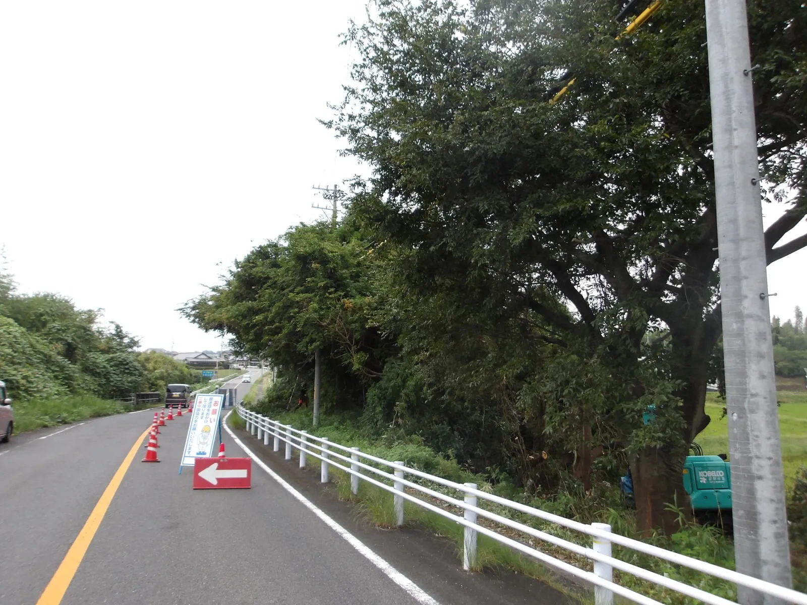 今回は伐採工事の話