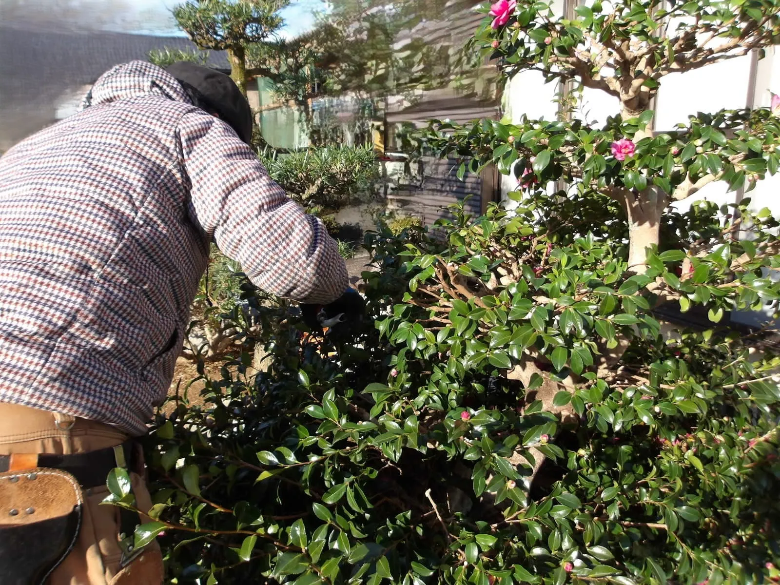 風通し良くしましょう。