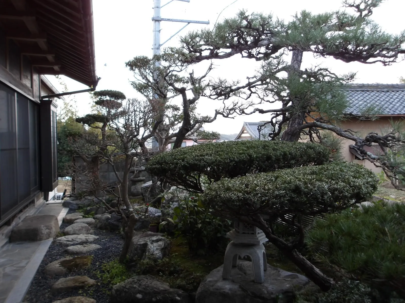 移り変わる庭の姿