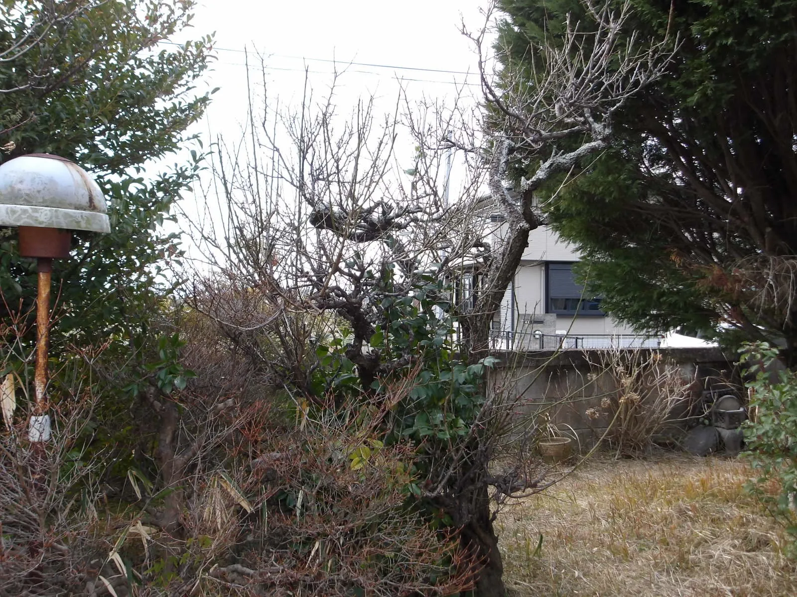 わんぱく小僧な時代もありまして(笑)