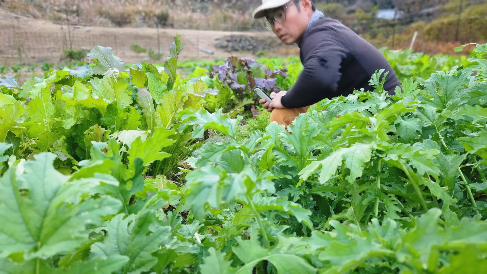 ビオガーデン施工・管理事業