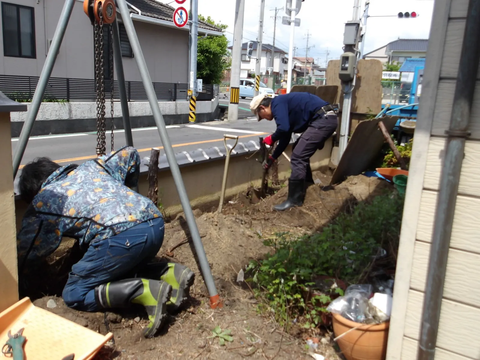 カイヅカイブキの抜根工事