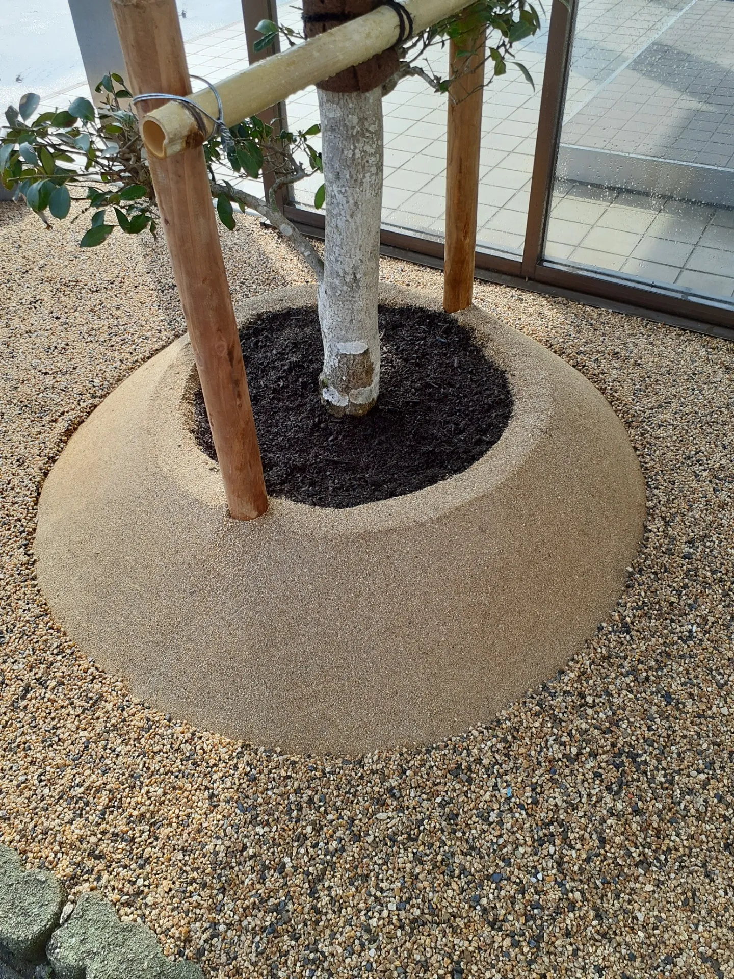 記念樹植栽